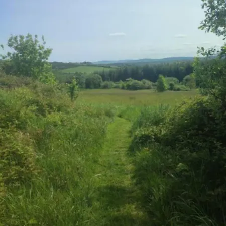 Camping Bilberry Boreen Macroom
