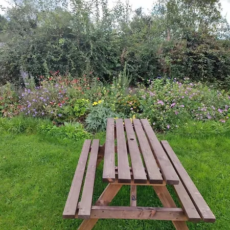 Bilberry Boreen Macroom