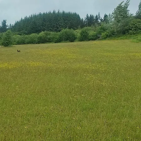 Bilberry Boreen Camping Macroom